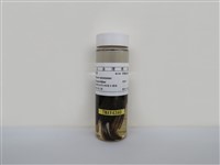 藏品(麻雀)的圖片